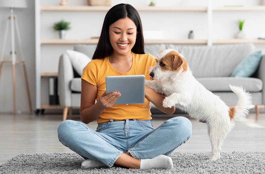 woman with dog looking at tablet